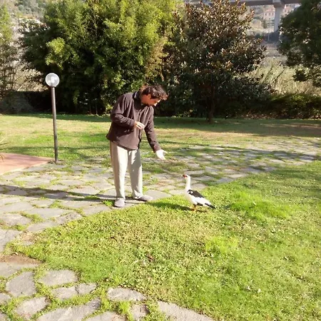 Il Pozzo E Il Melograno ベッド・アンド・ブレックファスト 3*