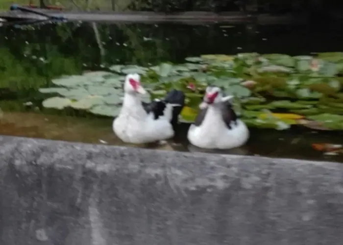 Il Pozzo E Il Melograno Bed & Breakfast Finale Ligure