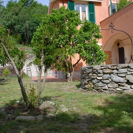 Il Pozzo E Il Melograno 3*