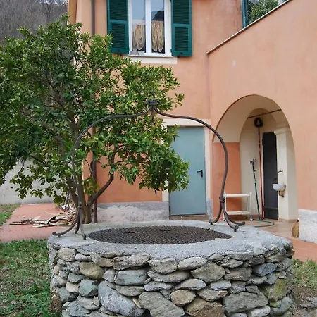 Il Pozzo E Il Melograno 3*