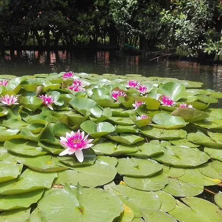 Il Pozzo E Il Melograno 3*