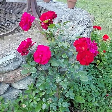 Bed and breakfast Il Pozzo E Il Melograno