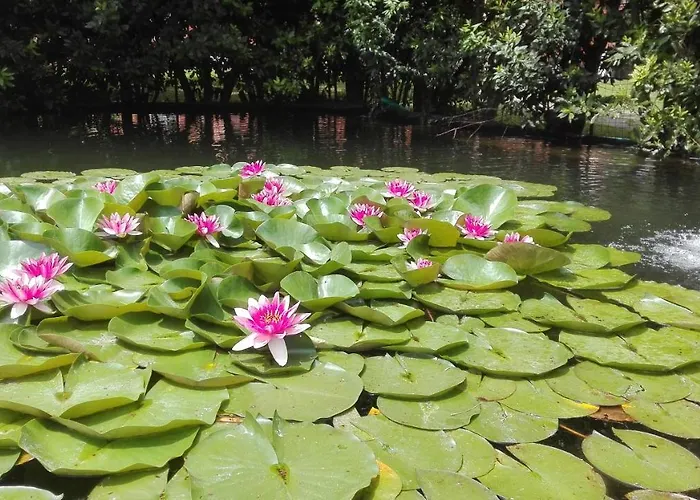 Il Pozzo E Il Melograno 3*