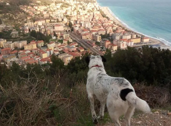 Bed & Breakfast Il Pozzo E Il Melograno Finale Ligure